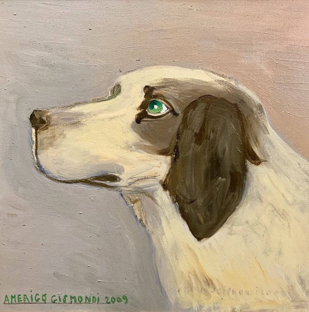 Cane da caccia, olio su tela, 30×30 cm, 2009